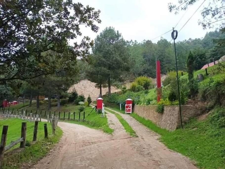 Finca Chuchiya Cabanas Tecpan Tecpan Guatemala Luaran gambar