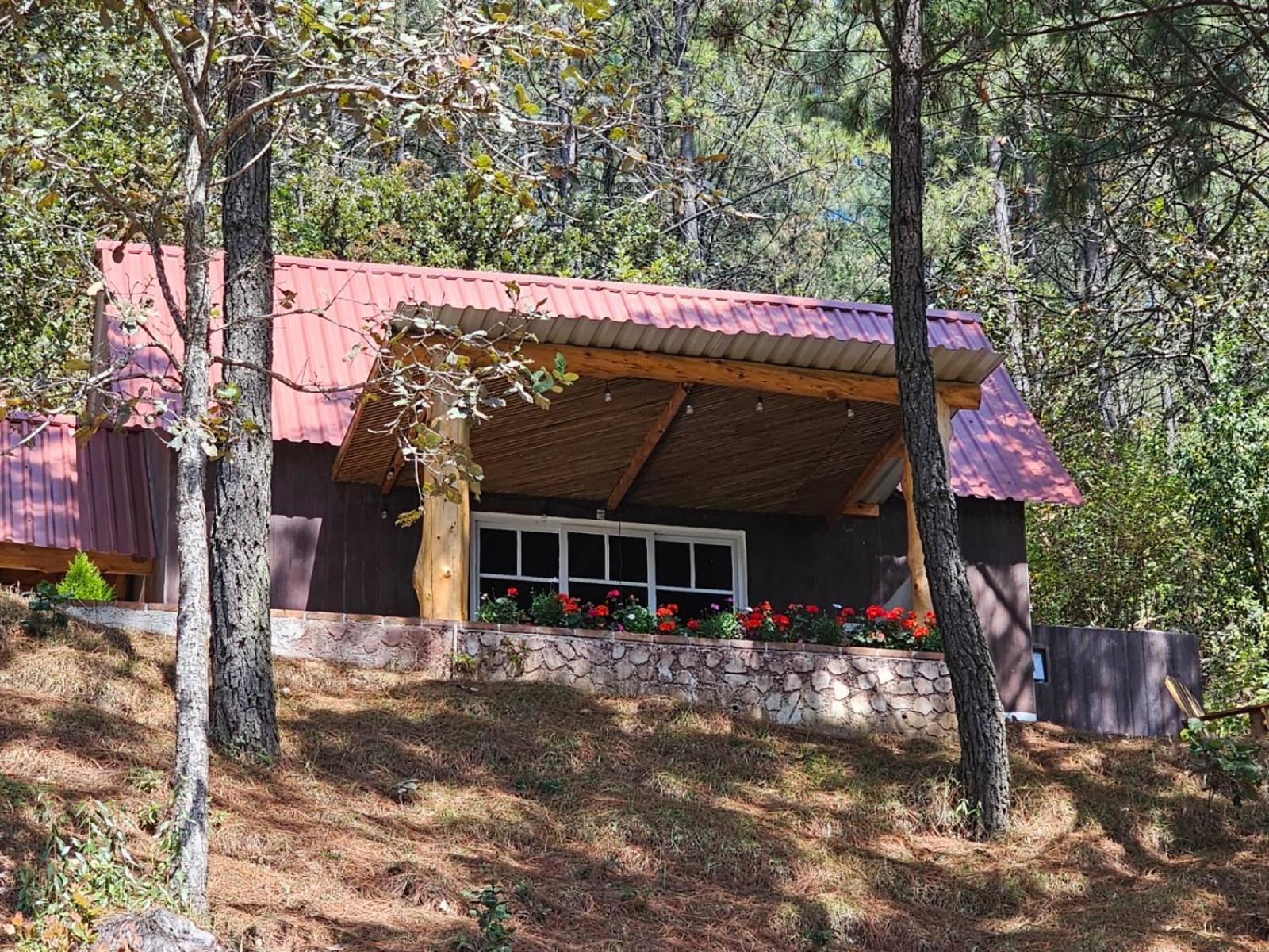 Finca Chuchiya Cabanas Tecpan Tecpan Guatemala Luaran gambar